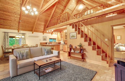 Packwood House | Cozy, clean, updated cabin w/hot tub, fireplace, fire pit, BBQ, smart TV
