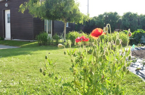 Saint-Leonard Apartment | Cozy Coastal Hideaway Near Fécamp and Étretat