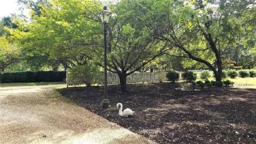 Hayes House | Cozy Colonial 1740 Cottage