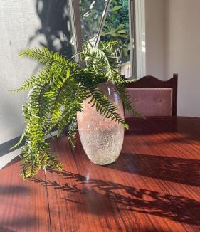 Howick Villa | Cozy Corner