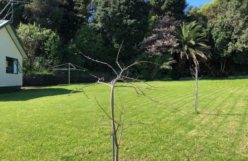 Thames House | Cozy corner