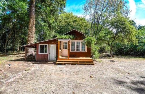 Old Evergreen Highway House | Cozy cottage among trees - close to PDX