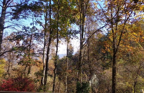 Asheville Cottage | Cozy cottage in mountains 2.2 miles from downtown.
