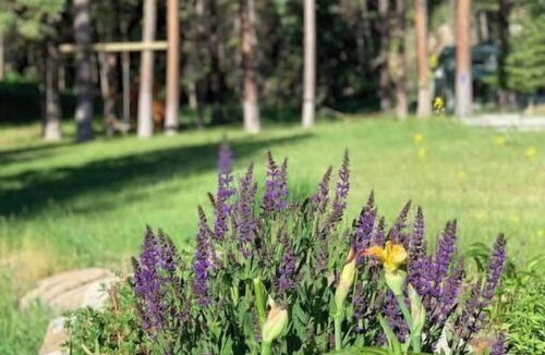 Tonasket Cottage | Cozy Cottage~Mini Golf! ~Aeneas Valley