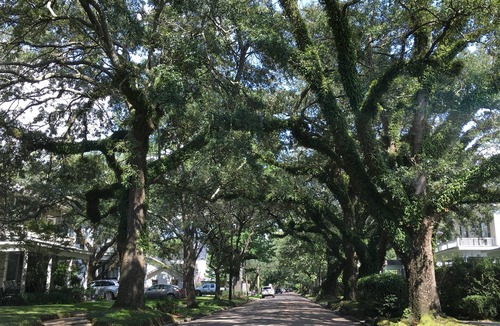 Mobile Cottage | Cozy cottage minutes from downtown Mobile, Top Golf, Bel Air Mall, and more .