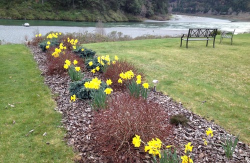 Gold Beach Cabin | Cozy Cottage on the Rogue River