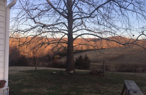Batesville Cottage | Cozy Cottage Perfect for a Charming Charlottesville