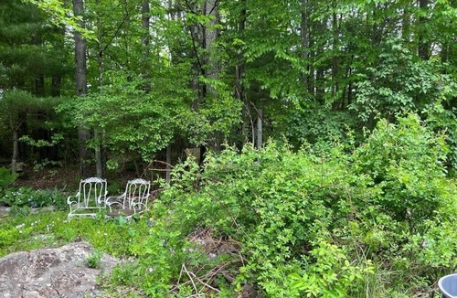 Ellenville Cottage | Cozy Cottage with a Pond 2