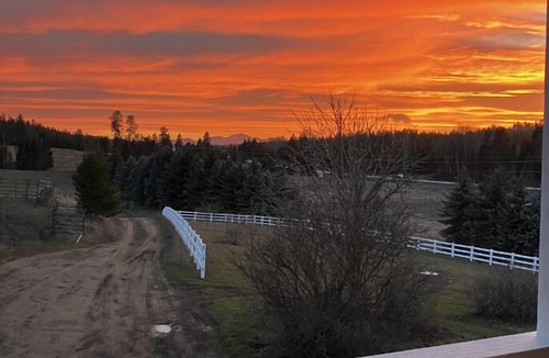 Athol Apartment | Cozy country living! 2-bedroom apartment on a small private farm