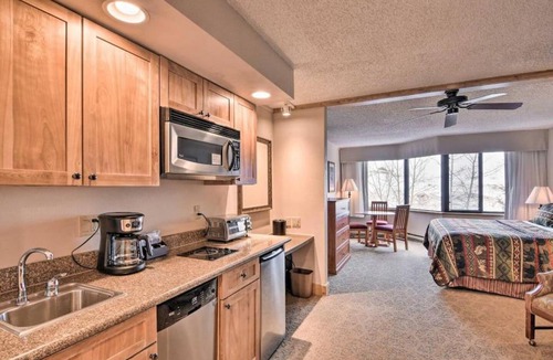 Mount Crested Butte House | Cozy Crested Butte Studio 1 Mi to Ski Resort