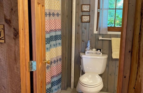 Newaygo Cabin | Cozy Croton Pond Cabin