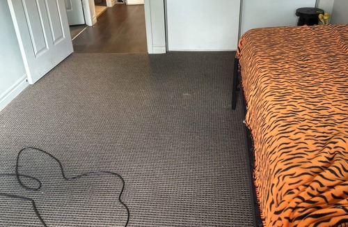 Rosemount Apartment | Cozy Doon South Short-term stay in Wi-Fi, kitchen, laundry. Pet friendly