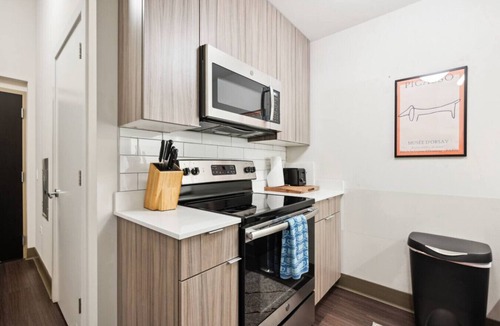 South Loop Condo | Cozy Downtown MICH AVE #7 | gym+rooftop