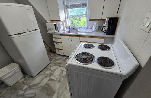 Sunnyside Apartment | Cozy downtown one bedroom free parking