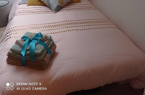 Charleville-Mezieres Apartment | Cozy Du Moulin Appt⭐️100m place Ducale⭐️wifi / Netflix