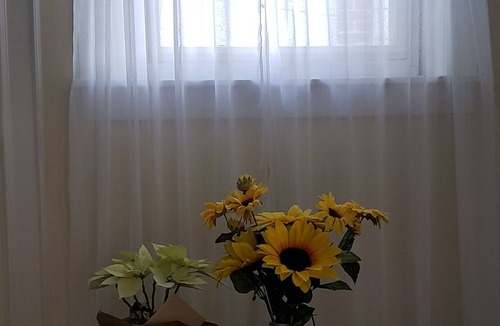 Allentown Apartment | Cozy & Entire Unit to stay