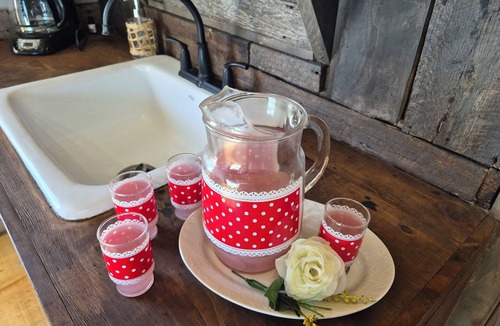 Protem Cabin | Cozy Farm Cabin, Rustic Charm/Modern Luxury/couples Romantic getaway/Hot Tub