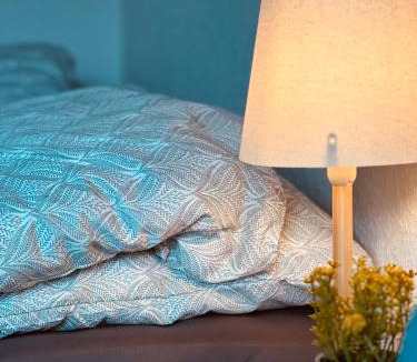 Silkeborg Apartment | Cozy Flats Silkeborg - 1TH