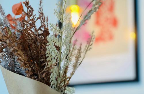 Silkeborg Apartment | Cozy Flats Silkeborg - 1TH