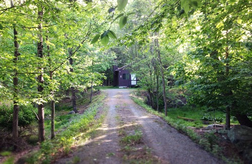 Bushkill House | Cozy Forest Creekside Home: jacuzzi, fireplace, firepit+