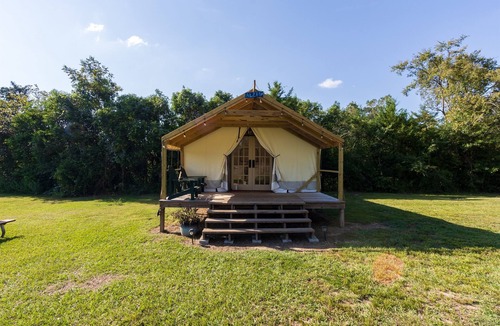 Coldspring RV Rental | Cozy Forest Retreat near Sam Houston National Park