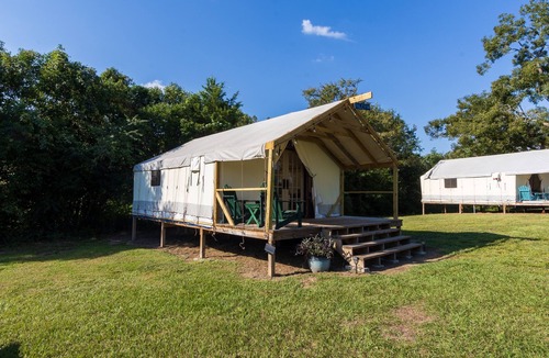 Coldspring RV Rental | Cozy Forest Retreat near Sam Houston National Park