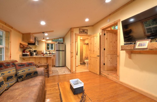 Almond House | Cozy Forest Tiny Cabin Hot Tub Fire Pit Pets Welcome Near NOC & GSMR