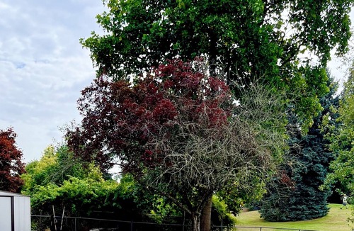 Five Corners House | Cozy Golf Course Getaway