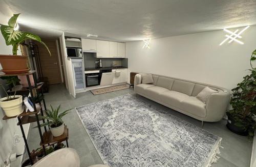 Xonrupt-Longemer Apartment | Cozy ground floor apartment