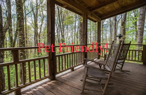 Chimney Rock Apartment | Cozy Guest Cabin Pet Friendly Secluded Peaceful