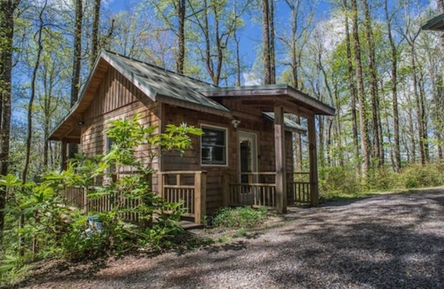 Chimney Rock Apartment | Cozy Guest Cabin Pet Friendly Secluded Peaceful