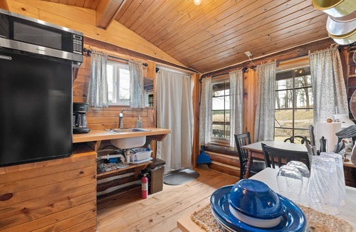 Hermosa Cabin | Cozy, Historic Cabin by Rushmore & Custer St Park