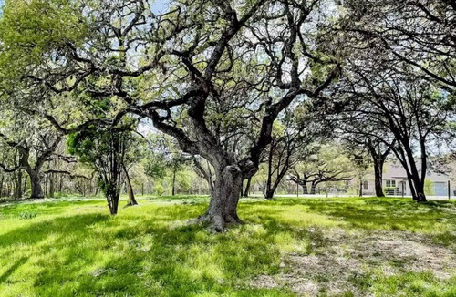 Slaughter Creek Acres House | Cozy Home 3BD&2BA~Sleeps 10~Pet