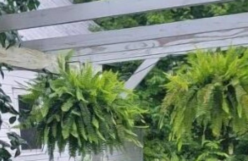 Colton House | Cozy Home Colton NY