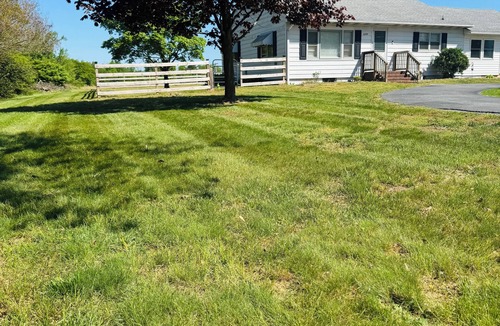 Harrington House | Cozy home in Milford/Harrington nfor relaxing stays!