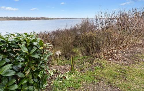 Roskilde House | Cozy Home In Roskilde With Wifi