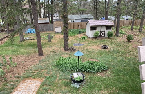 Geyser Crest House | Cozy home just mins away from Saratoga Race course and so much more!