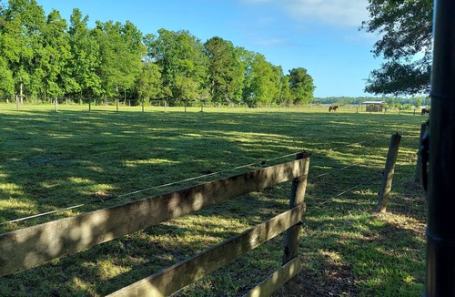 Seabrook House | Cozy Horse Ranch Get-Away