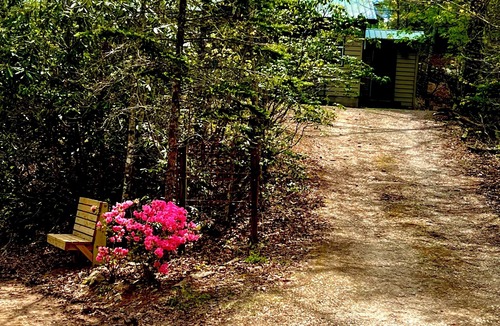 Almond Cabin | Cozy, Hot Tub, Near Tsali, Fontana Lake, Pets Ok, Gated Deck