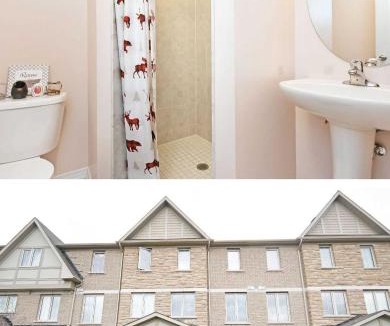 Mount Pleasant House | Cozy jets empire