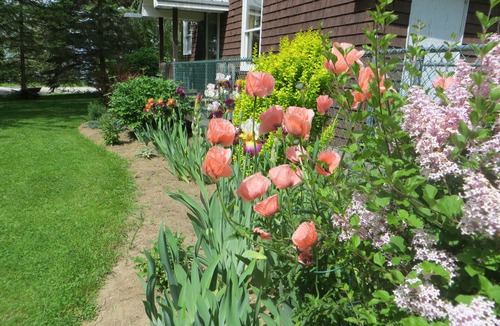 Isle La Motte House | Cozy lakeside cottage.