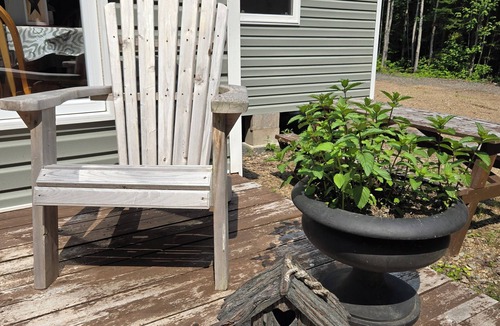 Gloucester County Cabin | Cozy little cabin in the woods.