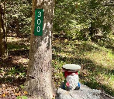 Ashfield House | Cozy Log Cabin in Jim Thorpe