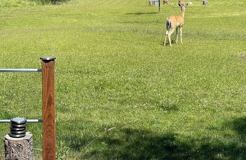 Kicking Horse Cabin | Cozy log cabin on 20 acres