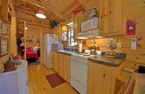 Asheville Cabin | Cozy Log Cabin w/Fire Pit, Mountain Views & Biltmore Pass — 20 Min to Asheville