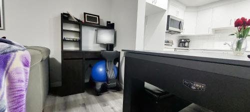 Southeast Calgary Apartment | Cozy Luxe 1BR Suite