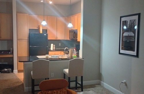 Cinco Ranch Apartment | Cozy Luxury I BR Apartment At Energy Corridor
