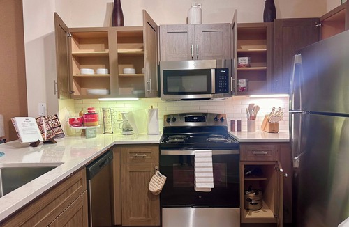 Houston Apartment | Cozy Modern 1BD Med Center NRG Galleria Downtown.