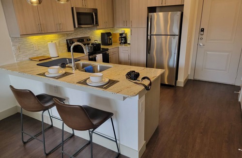Farmers Branch Apartment | Cozy modern apt in the Dallas metropolitan area