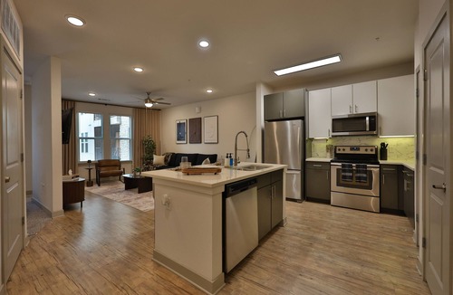 Fort Worth Apartment | Cozy Modern Luxury Apartment in Fort Worth